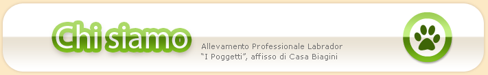 Chi Siamo